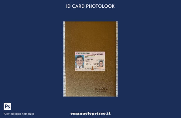 stile verificato Carta d'identità USA Washington presente modello frontale pho 1